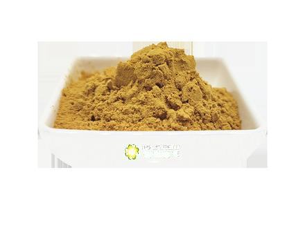 Echinacea extract