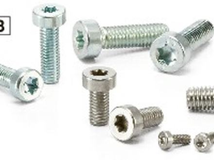 Torx low head bolt &mdash; SLTS-ALK, SLTS-M2, SLTS-M3, SLTS-M4