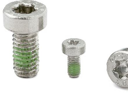 Torx low head bolt