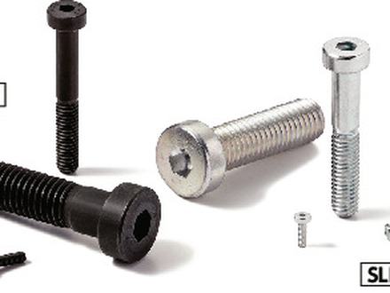 low head hex socket bolt &mdash; SLH-TZB-ALK