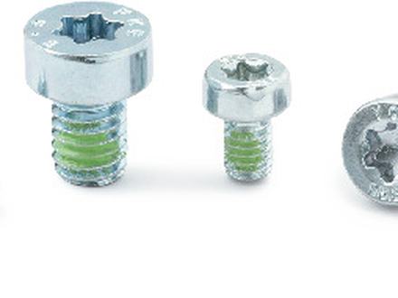 Torx low head bolt