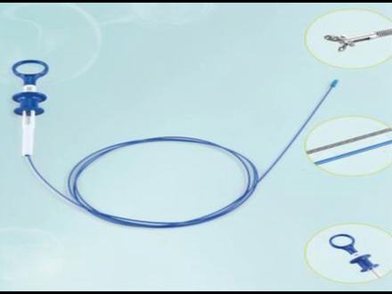 Biopsy forceps