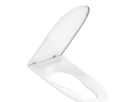 Toilet seat