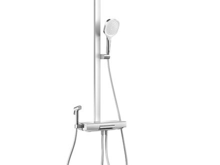 Shower set