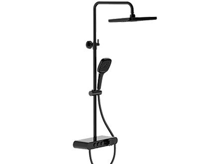 Thermostatic bar shower with shelf